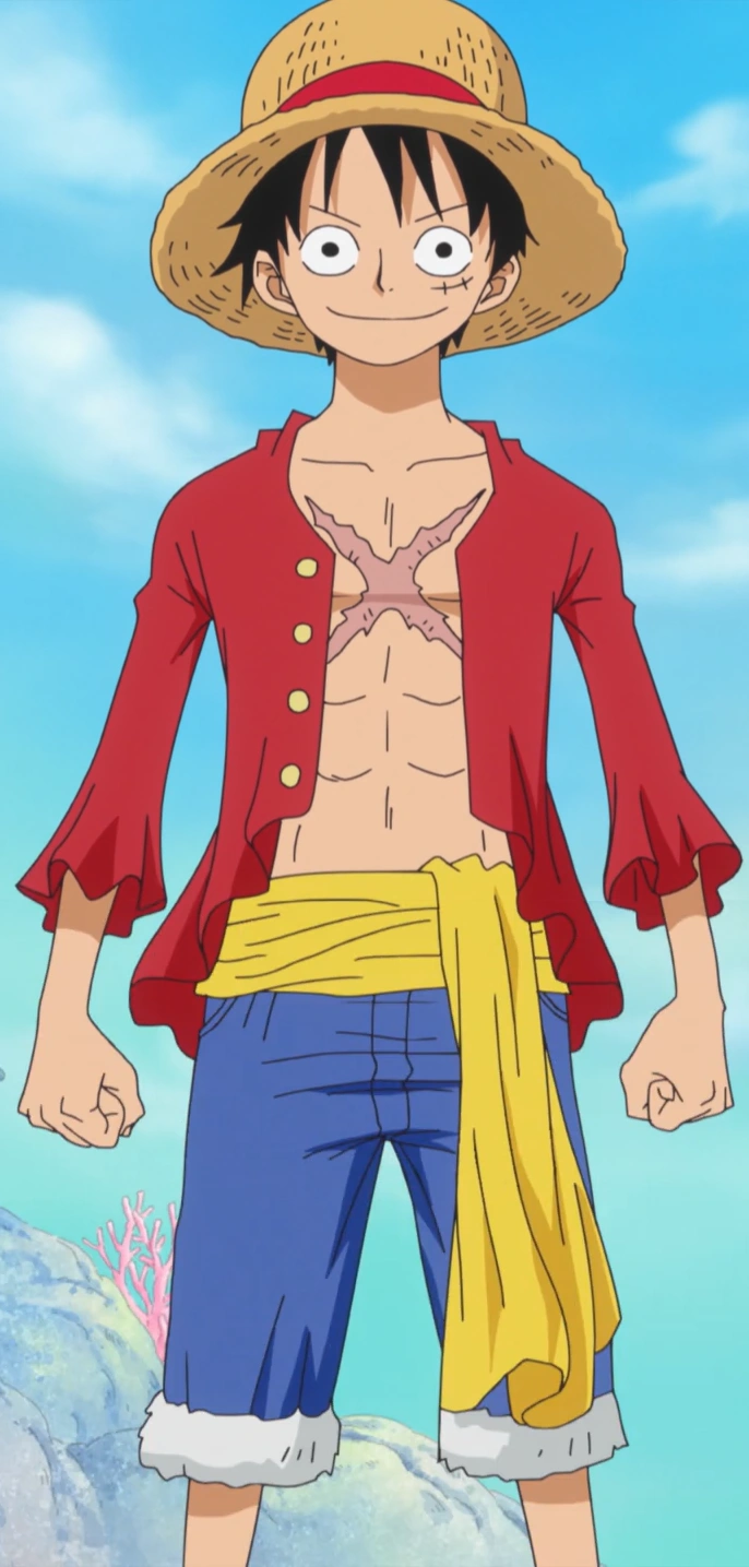 Luffy reference